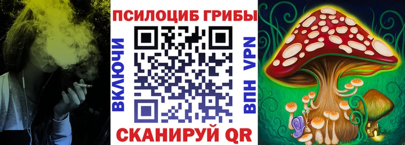 Псилоцибиновые грибы Psilocybe  blacksprut рабочий сайт  Тамбов  наркота 